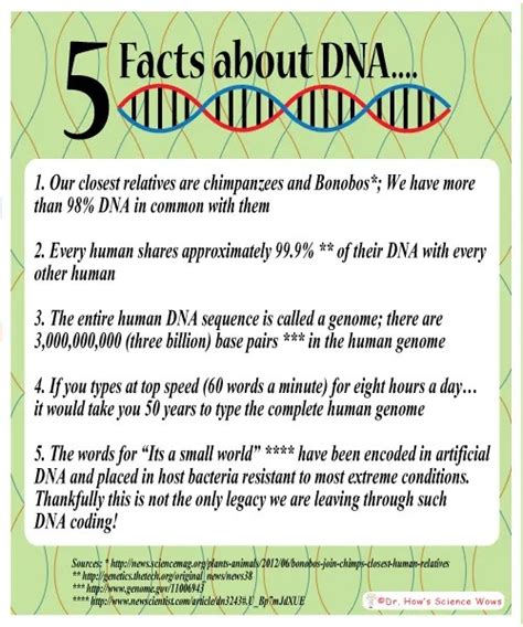 Fun Friday Five Fantastic Facts About Dna And How To Extract Dna From