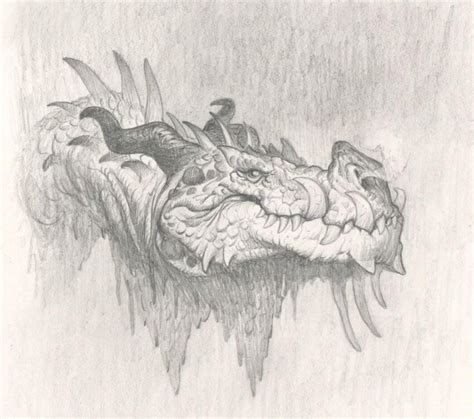 Dragon Par Justin Gerard Illustration