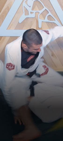 Ryron Gracie And Rener Gracie The 32 Principles Part 03 Videofight