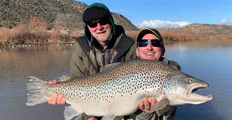 Fly Fishing Rates Packages San Juan River Fly Fishing