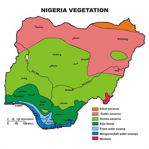 It borders niger in the north, chad in the northeast, came. NIGERIA VEGETATION - Megafeeds - We Feed the Universe
