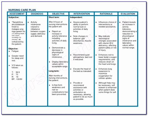 Nursing Care Plan Template Blank