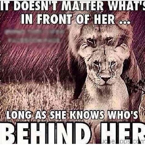 Every Queen Needs A Lion King Quotes Quotesgram