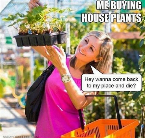 60 Plant Memes For You To Dig Through Funny Gallery Ebaums World
