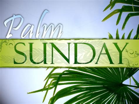 March 20th Palm Sunday Bulletin Lutheran Church Of Our Saviour
