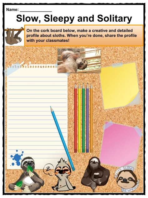 Sloth Facts And Worksheets For Kids Diet Habitat Behavior
