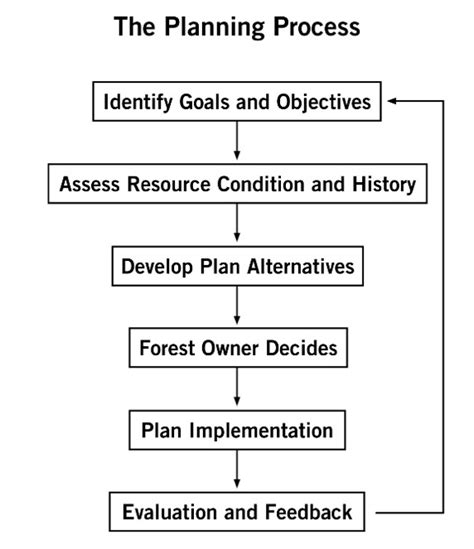 Fundamentals Of Forest Resource Management Planning Land Grant Press
