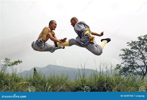Chinese Kung Fu Royalty Free Stock Photos Image 4339758