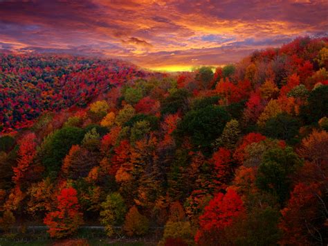 New England Fall Foliage Wallpaper Wallpapersafari