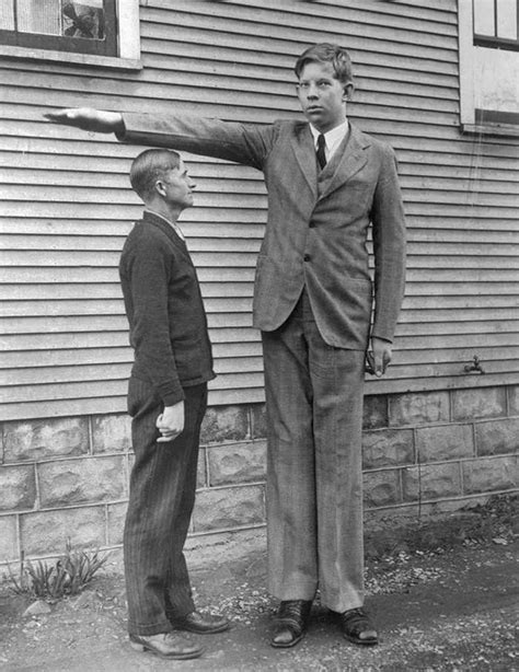 Who Was The Tallest Man That Ever Lived