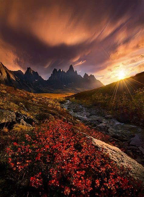 Autumn Colors In The Far North Yukon Canada All Nature Nature