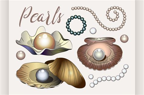 Pearls Vector Set 681727 Illustrations Design Bundles