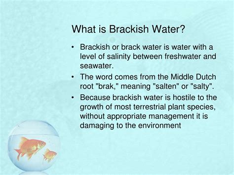 Ppt Aquatic Science Powerpoint Presentation Free Download Id2041102