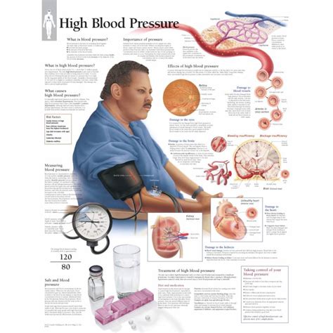 Blood Pressure Chart Low And High