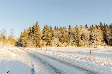 Beautiful View Of Winter Scape Country Road In Snow Forest Beautiful