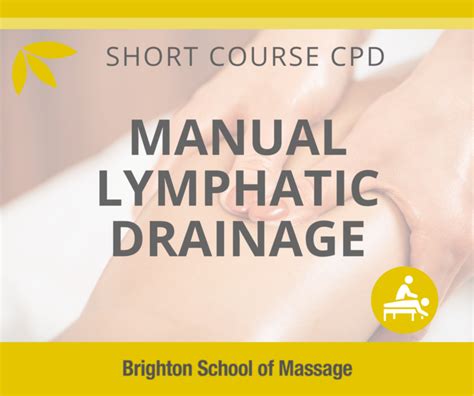 Manual Lymphatic Drainage Course Brighton School Of Massage