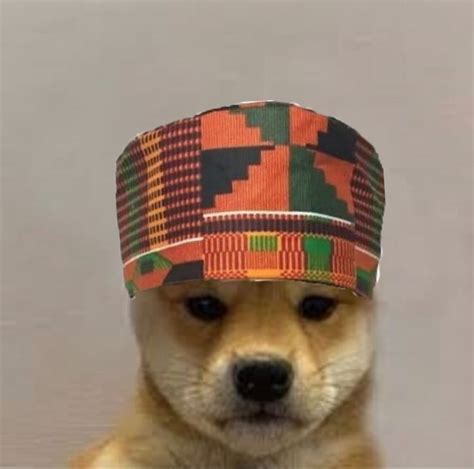 Afro Dogwifhat Dog With Hat Dog Images Cute Animals
