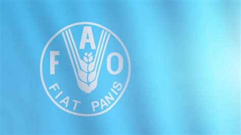 Fao Images Browse 689 Stock Photos Vectors And Video Adobe Stock