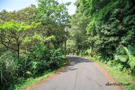 福源山步道百年大榕樹．龜山樹林景點（居高臨下眺望三鶯樹林台北盆地）