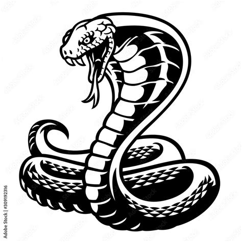 Cobra Snake Tattoo Style In Black And White Stock Vector Adobe Stock