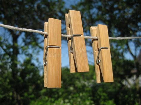 Clothespins And Clothes Line Stock Photo Image Of Plant Village 9981120