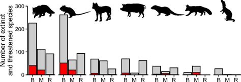 This Study Offers A New Way Forward In The Debate Over Feral Cats