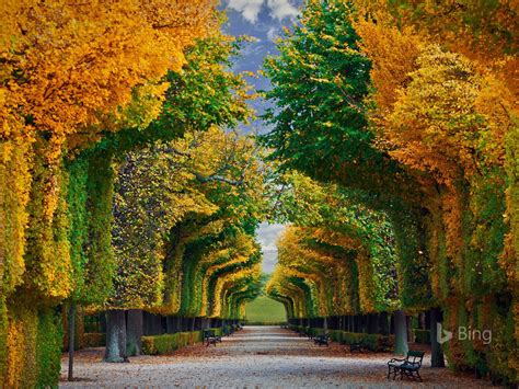 Schonbrunn Palace Vienna 2016 Bing Desktop Wallpaper Preview