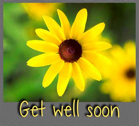 Get Well Soon Yellow Flower Free Get Well Soon Ecards Greeting Cards