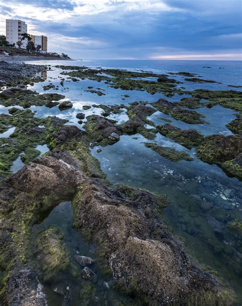 Free Images Beach Landscape Coast Tree Water Nature Rock Ocean