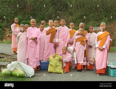 Group Of Buddhist Nuns In Pink Near Hsipaw Burma Myanmar Stock Photo