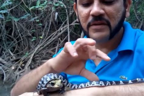 Watch Serpent Ninja Casually Wrap Venomous Snake Around Poisonous
