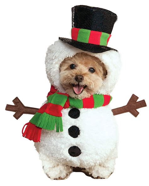 Dog Christmas Outfits That Youll Love Dressing Your Pooch In