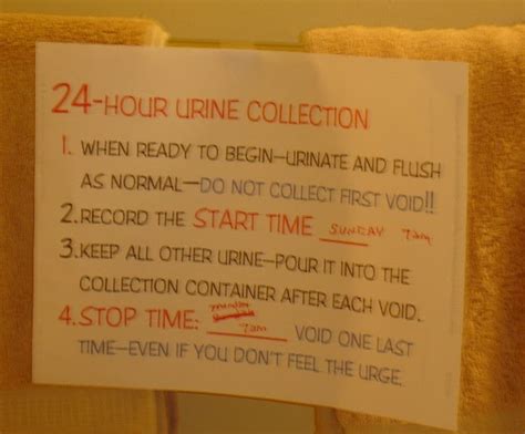 Promoting Health And Patient Education 24 Hour Urine Collection How
