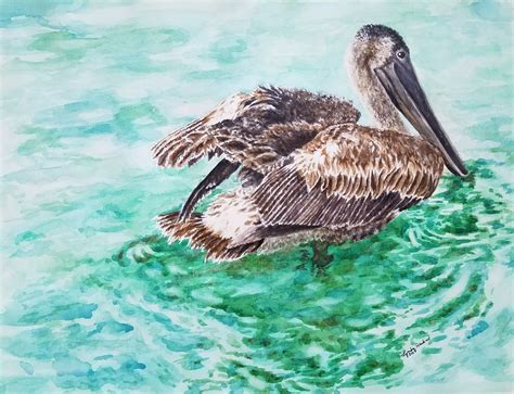 Brown Pelican Watercolor 12x16 Artist Lynda Hawkins Artist Artwork