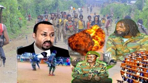 23112023 Oduu Hatattama Guyyaa Haŕaa Warani Bilsumma Oromo Injfanno