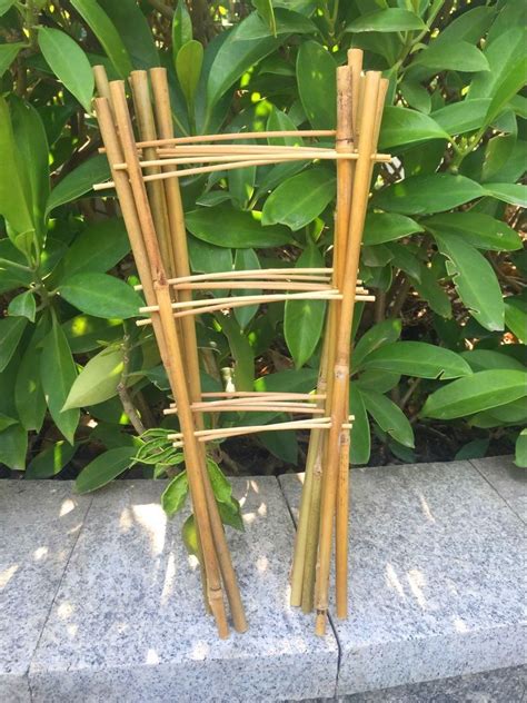 10pcs 138 Bamboo Garden Trellises 35cm Bamboo Stakes Support Flower