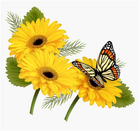 Yellow Gerberas With Butterfly Png Clipart Butterfly On