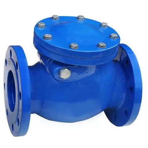 Blue Stainless Steel Ss Non Return Ball Valve At Best Price In Surat