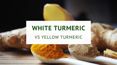 White Turmeric Vs Yellow Turmeric Healthy Food Tribe