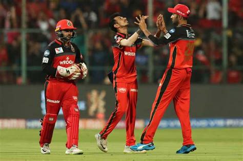 Rcb Vs Srh Match 54 Ipl 2019 Cricket Photos