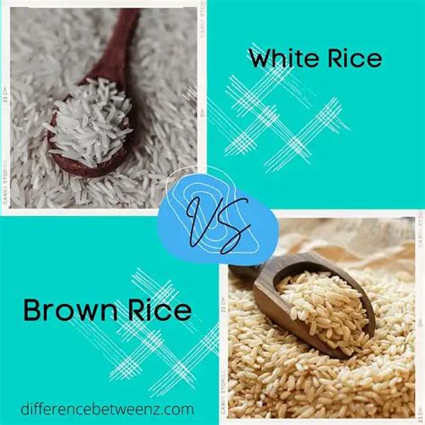 Difference Between White Rice And Brown Rice Difference Betweenz