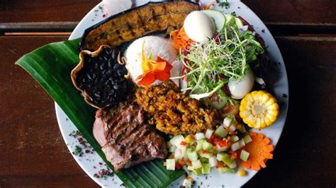 Check spelling or type a new query. 10 Best Costa Rican Foods to Try | Bookmundi