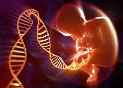 Wajib Tahu Ada Beberapa Penyakit Genetik Yang Rupanya Bisa Turun Ke Anak