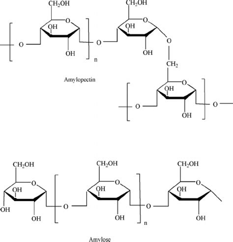 Structure Of Amylopectin And Amylose In Starch Adapted From Reference