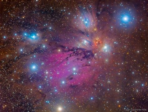 Apod 2019 August 26 Ngc 2170 Angel Nebula Still Life