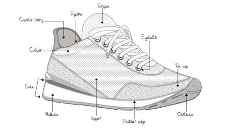 Anatomy Of The Shoe
