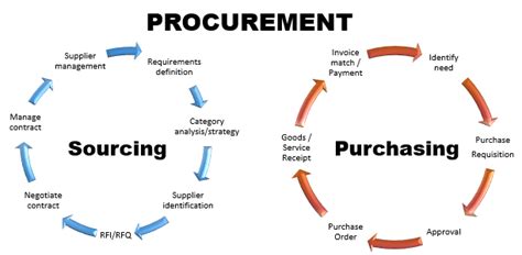 The Role Of The Board In Procurement Graphic Online