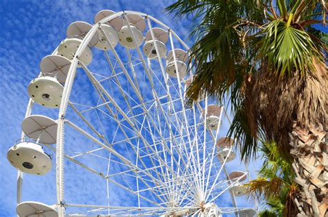 Ferris Wheel And Palm Trees Stock Photo Image Of Provence Cote 34080798