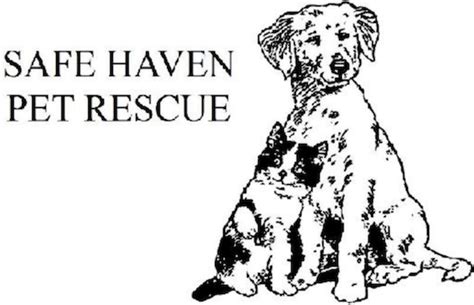 Contact Safe Haven Pet Rescue
