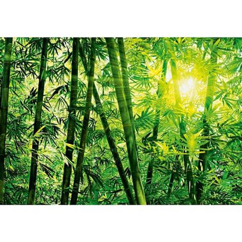 Ideal Decor 100 In X 144 In Bamboo Forest Wall Mural Dm123 The Home